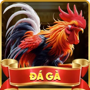 Cá cược thể thao Caxeng