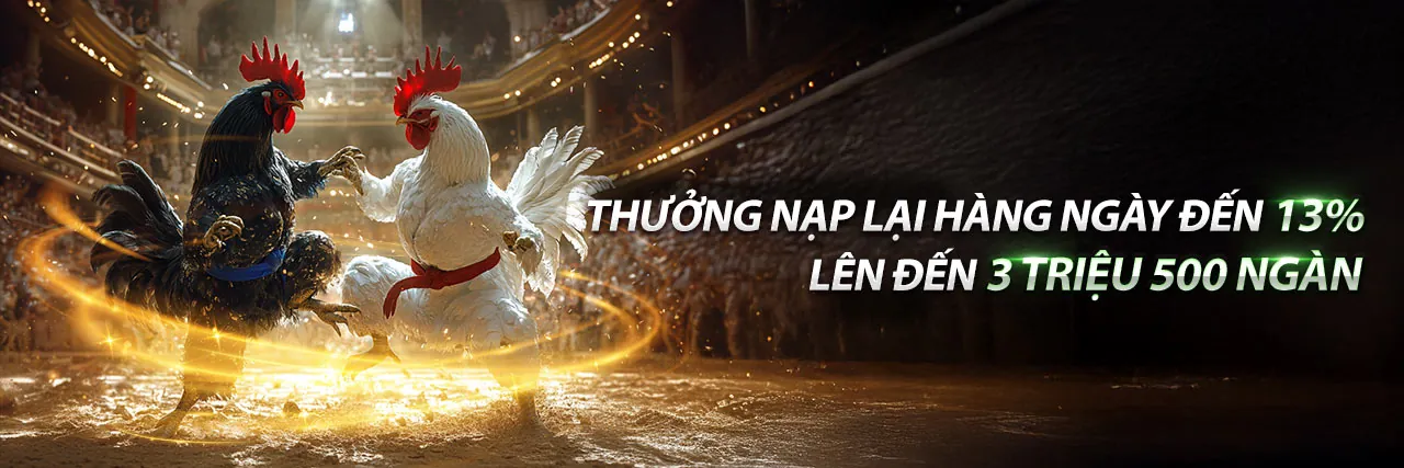 Caxeng hoàn trả và ưu đãi hàng ngày